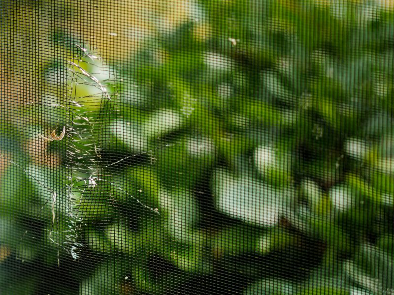 The Summer Screen Checklist: Repair, Replace, or Install Before It’s Too Late